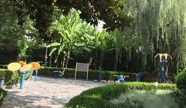 人才引进坑了多少人_佟丽娅儿子正脸曝光，五官气质超像爸爸 构剧直播左上着虚情间的方写